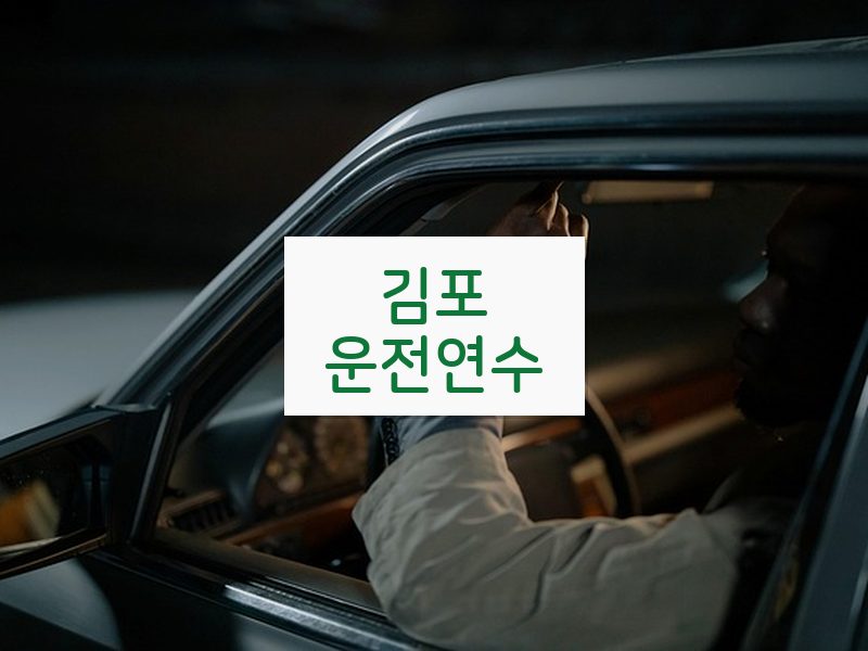 김포운전연수 후기