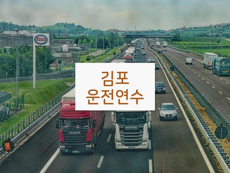 김포운전연수 후기