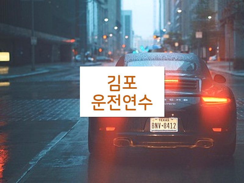 김포운전연수 후기