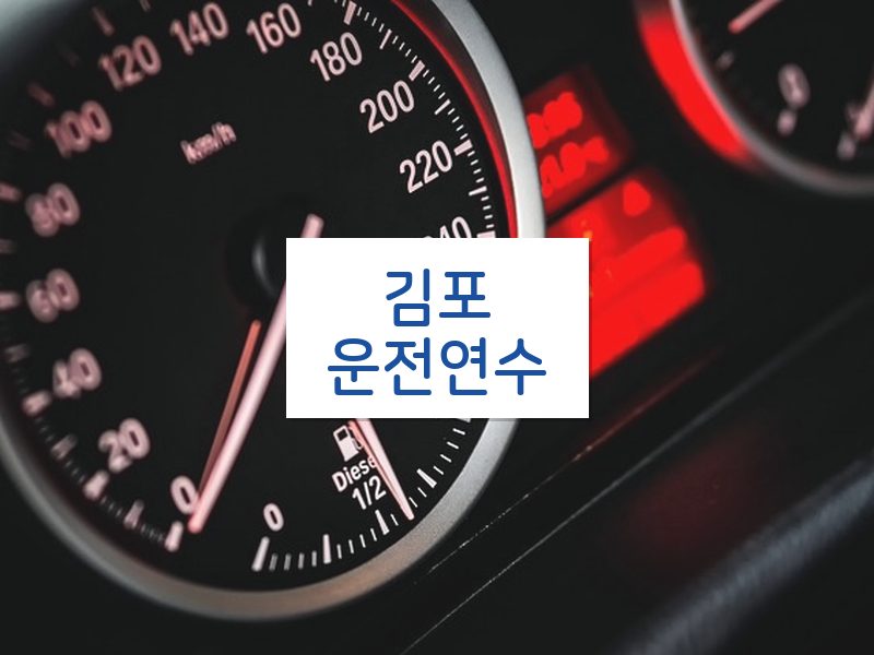 김포운전연수 후기