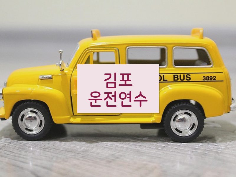 김포운전연수 후기
