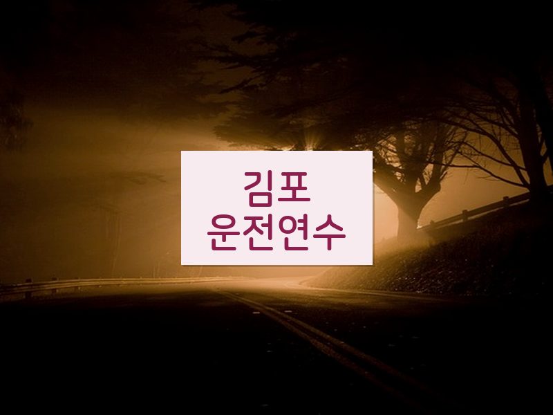 김포운전연수 후기