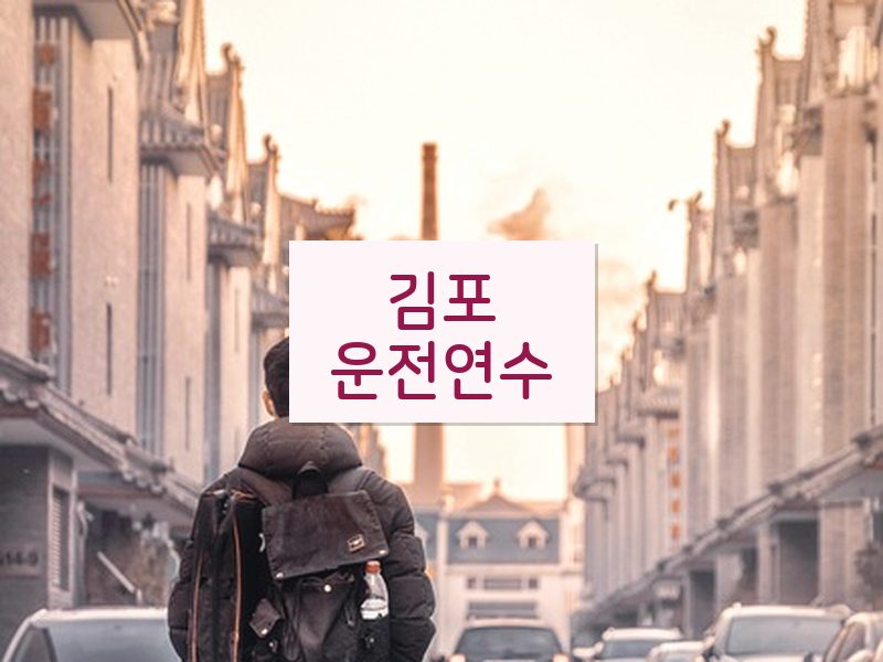 김포운전연수 후기