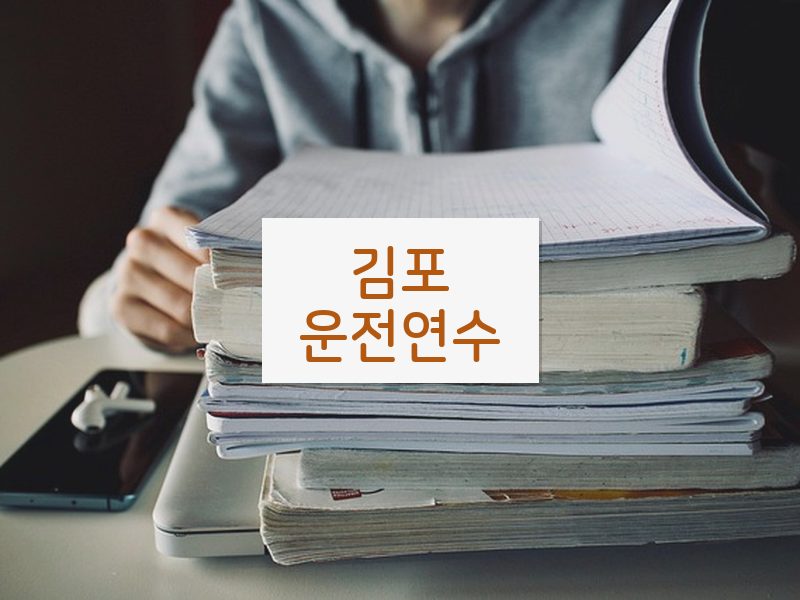 김포운전연수 후기