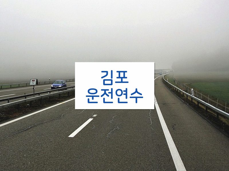 김포운전연수 후기