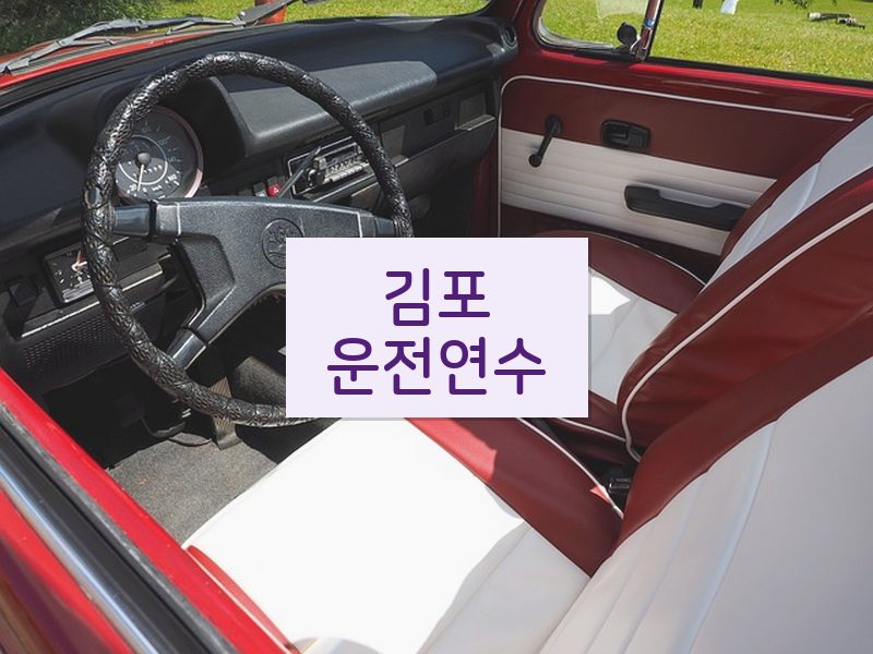 김포운전연수 후기