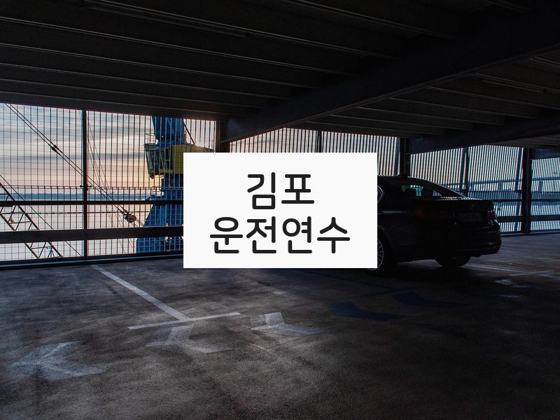 김포운전연수 후기