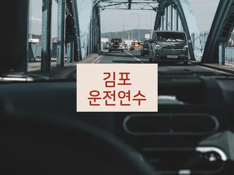 김포운전연수 후기