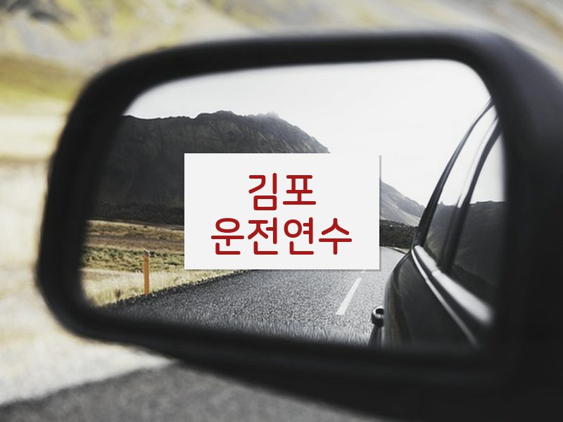 김포운전연수 후기