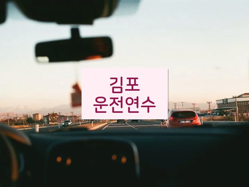 김포운전연수 후기