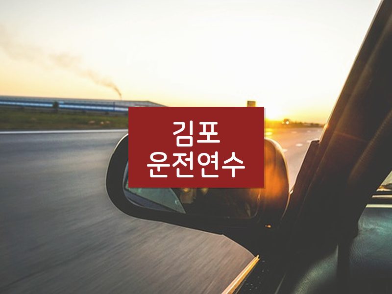 김포운전연수 후기